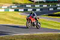 Evening Group 2 Red Bikes